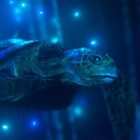 Hybrid, un corto de animación para salvar los océanos