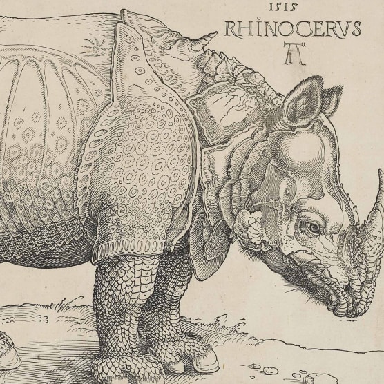 Pionero del diseño gráfico en el Renacimiento: el genio de Albrecht Dürer